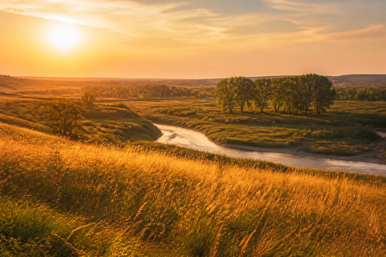Nebraska prairie grass in warm evening light